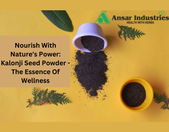 herbal Powder Supplier In Surat 